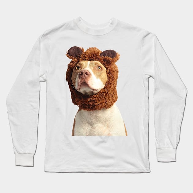 Photograph of cute brown and white american pit bull terrier wearing brown costume Long Sleeve T-Shirt by keeplooping